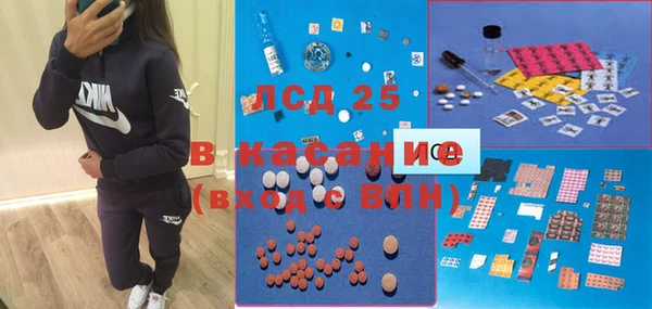 PSILOCYBIN Богородицк
