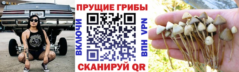 Галлюциногенные грибы мицелий  Юрюзань 